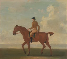 Ett av fyra porträtt av hästar - en kastanjebrun kapplöpningshäst med Jockey Up: gå till vänster; jockey i buff-gul jacka