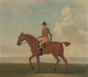 Ett av fyra porträtt av hästar - en kastanjebrun kapplöpningshäst med jockey Upp: gående till vänster; jockey i buff-gul jacka