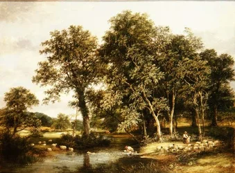 Fårdopp