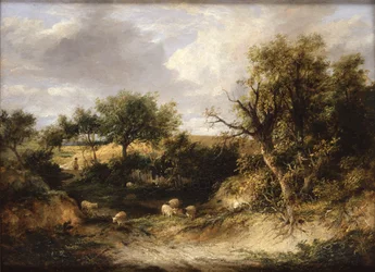 Wooded Landscape (olja på duk)