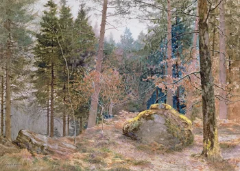 I en walesisk skog, vinter