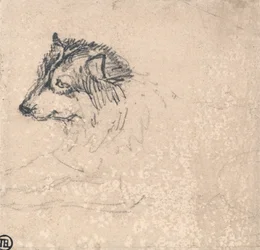 Polarhund, vänd mot vänster