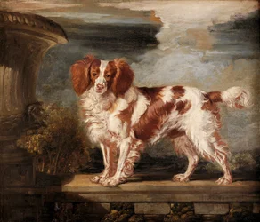 Porträtt av Dash, en favorit Spaniel, egendom av Lady Frances Vane-Tempest