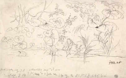 Studies of Plants, 2 augusti 1815