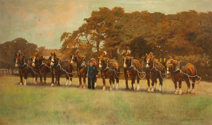 Shire Horses, 1896