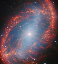 En närmare titt på en lokal galax (NGC 2566)