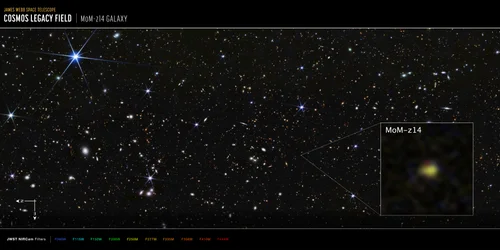 COSMOS-fältet, galaxen MoM-z14 (bild från NIRCam)