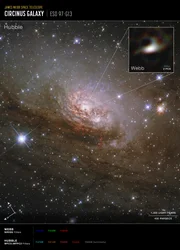 Circinusgalaxen (bild från Hubble och Webb)  