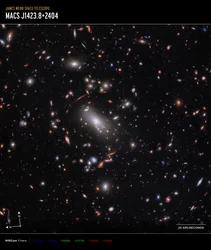Galaxhopen MACS J1423 (bild tagen med NIRCam Compass)