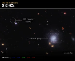 Kilonova och Host Galaxy Compass Image