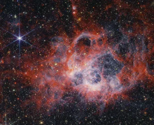 En titt in i NGC 604:s rankor med NASA:s Webb