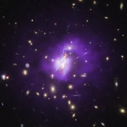 Webb kartlägger hela bilden av hur Phoenix-galaxklustret bildar stjärnor