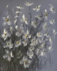 Drömlika vita blommor