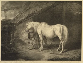 Primrose and Foal, från Celebrated Horses, en uppsättning av fjorton racingtryck publicerade av konstnären, 1823-24