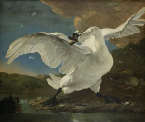 Den hotade svanen, ca 1650