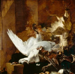 Stilleben med en död svan, cirka 1651