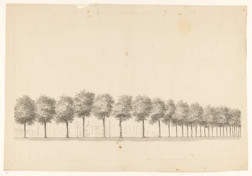 Bomenallee i Batavia