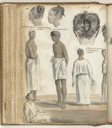 Indisk frisyr, folktyper på Ceylon