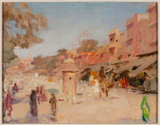Gata i Jaipur. Från en resa till Indien