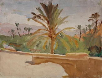 Biskra (Oas med palmer)
