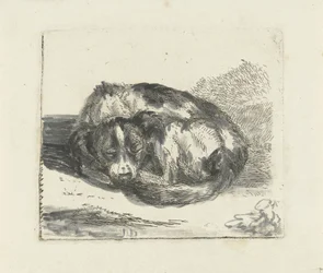 sovande hund