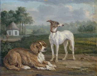 Två hundar