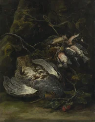 En rapphöna och småviltfåglar, 1650-tal.