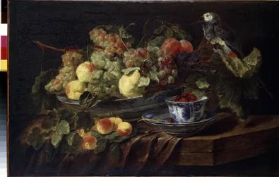 ""Stilleben med frukt och papegoja"" (Stilleben med frukt och papegoja) Målning av Jan (Johannes) Fyt (1611-1661) 1645 Dim. 58,3x90,7 cm Eremitagemuseet, Sankt Petersburg