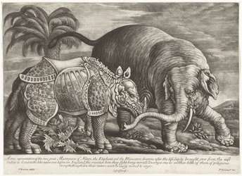 Olifant een neushoorn En sann representation av naturens två stora mästerverk, elefanten och noshörningen (titel på objektet)