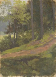 Stig på kanten av skogen