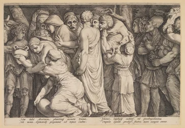 Bestraffningen av Niobe (plansch 7)