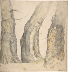 Studie av tre gamla knotiga träd, 1660.