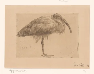Ibis (originaltitel på objekt)