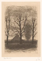 Gård mellan höga träd, Ewijkshoeve