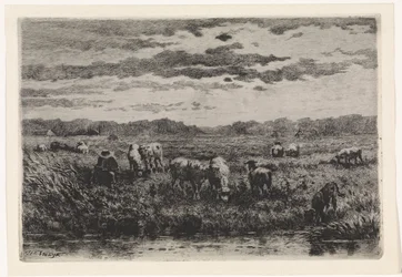 Landskap med får