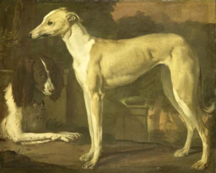 Porträtt av en greyhound och en spaniel
