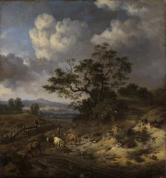 Kuperat landskap med kor