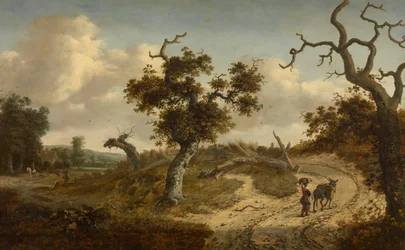 Landskap