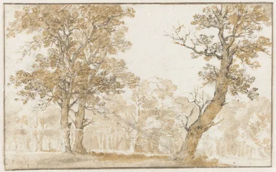 Haagskogen