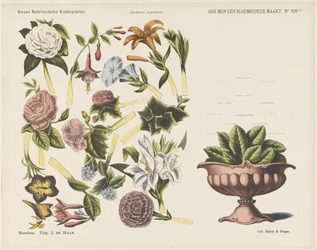 Hur man gör en blombukett / (1) (titel på objekt) Nya holländska barntryck (serietitel på objekt) Funkes tryck (serietitel på objekt)