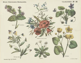 Wildflowers (titel på objekt) Nya holländska barntryck (serietitel på objekt)