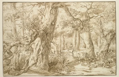 Skogsinteriör med ritare, ca 1664 (brunt bläck på antikt papper)
