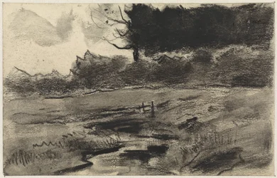 Landskap med skogsbryn och vatten
