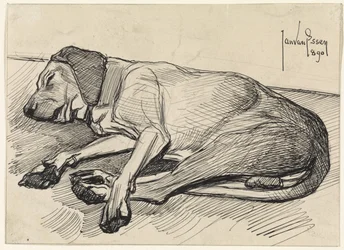 Sovande hund, till vänster