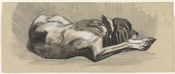 Sovande hund, till höger