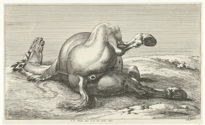 fallen häst Dead Horses (serietitel)