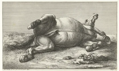 Död häst som ligger på sin vänstra sida Dead Horses (serietitel)