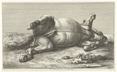 Död häst som ligger på sin vänstra sida Dead Horses (serietitel)