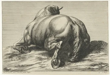 Fallen häst på magen sedd bakifrån Dead Horses (serietitel)