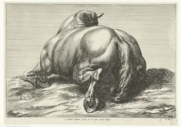 Fallen häst på magen sedd bakifrån Fallen Horses (serietitel)